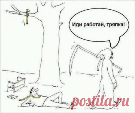 Немного юмора в прикольных фотках и картинках | Позитив в картинках и не только