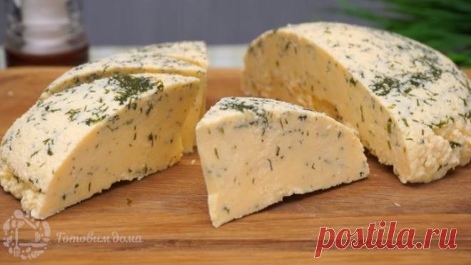 Домашний сыр из молока и кефира с зеленью. Самый простой рецепт