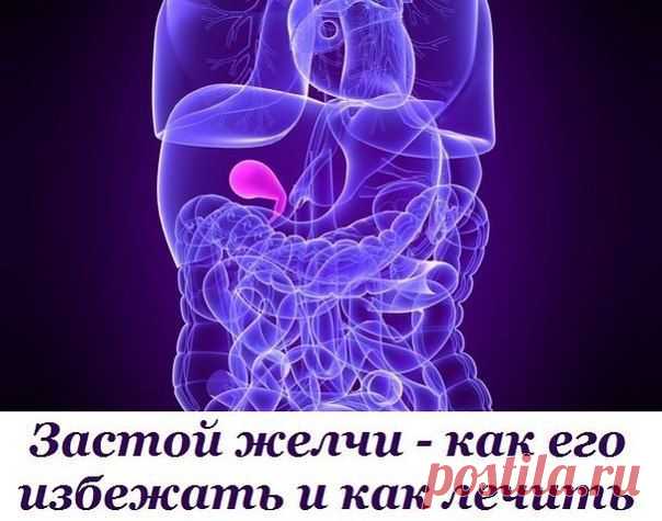 Застой желчи - как его избежать и как лечить | Женский журнал