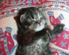 Анимашки(gif) | Группы Мой Мир