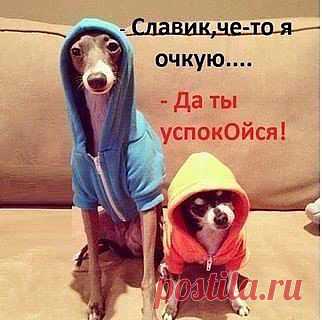 FISHKI.NET - Фотографии Хроники