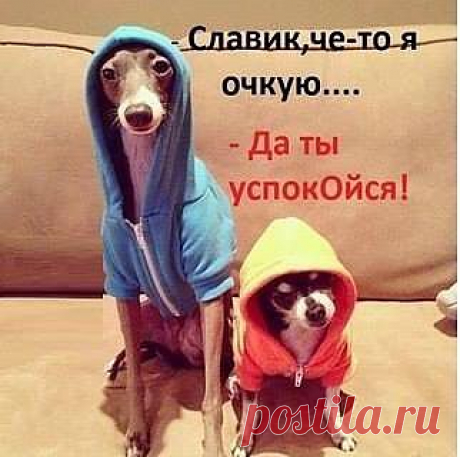 FISHKI.NET - Фотографии Хроники