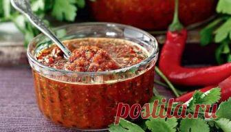 Аджика из петрушки рецепт с фото