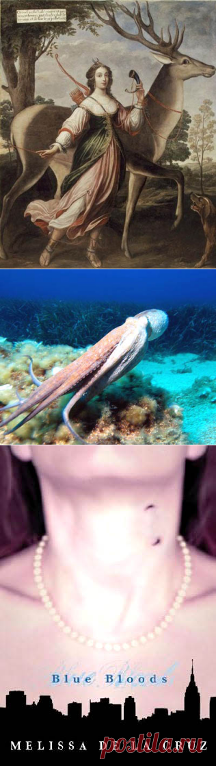 Белая кость, голубая кровь… | Просто о здоровье