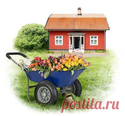 Остекление дачи - Застекление дач и загородных домов пластиковыми окнами от производителя "Окна Форбис"