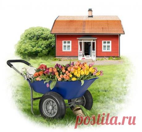 Остекление дачи - Застекление дач и загородных домов пластиковыми окнами от производителя &quot;Окна Форбис&quot;