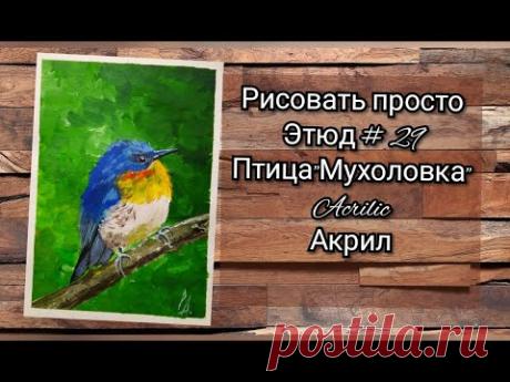 Этюд №2️⃣9️⃣ птичка Мухоловка Акрил для начинающих