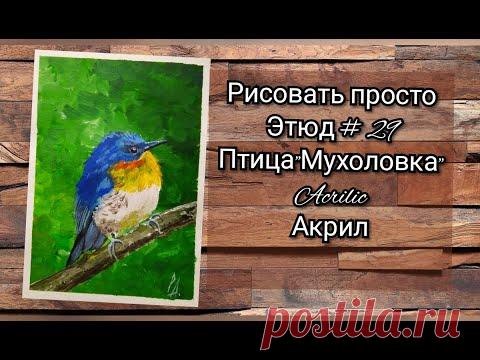 Этюд №2️⃣9️⃣ птичка Мухоловка Акрил для начинающих
