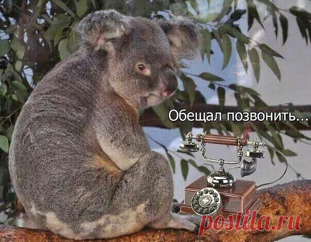 ЛЕНА ЕЛЕНА
59 лет, Россия, Москва
все её фото