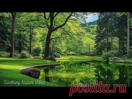 Deep Healing Music - Calm the Nervous System, Release Tension and Sleep Music, Calming Music