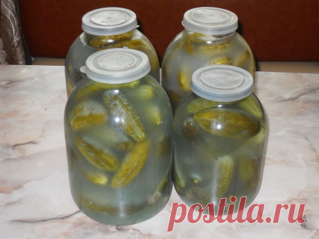 Соленые огурцы под капроновой крышкой на зиму