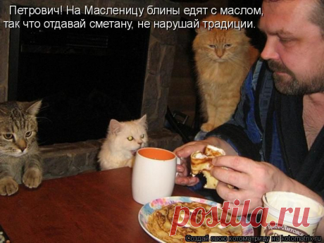 Забавные животные