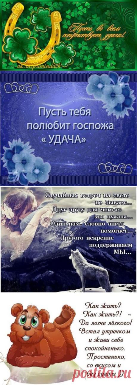 (1) Одноклассники