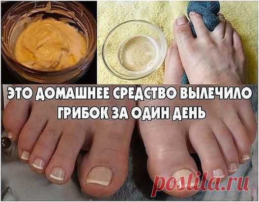 Грибок