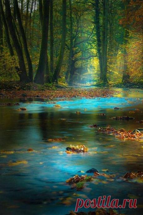 optically-aroused:
“Magic Light in the Spessart, Germany by Rolf Nachbar
”