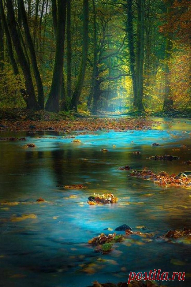 optically-aroused:
“Magic Light in the Spessart, Germany by Rolf Nachbar
”