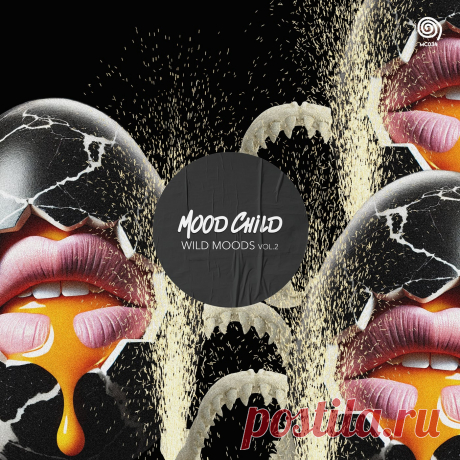 VA - Wild Moods Vol.2 MC034 » MinimalFreaks.co