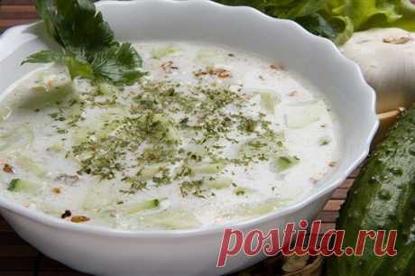 Таратор с йогуртом и грецкими орехами | Еда.ру | Яндекс Дзен