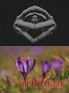 Лариса Левицкая. Системно-векторный психоанализ. - Информационно психологическая война Зомбированные свободой