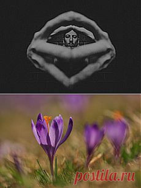 Лариса Левицкая. Системно-векторный психоанализ. - Информационно психологическая война Зомбированные свободой