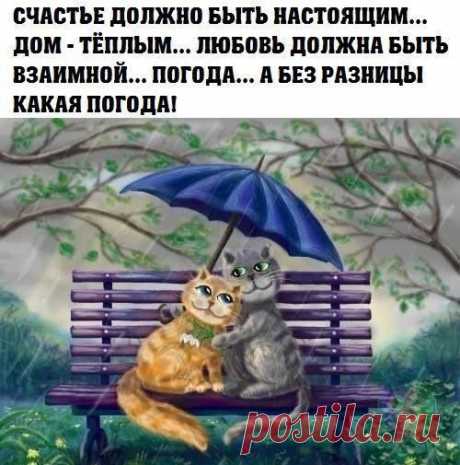 no comments