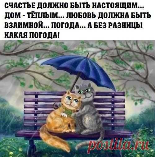 no comments