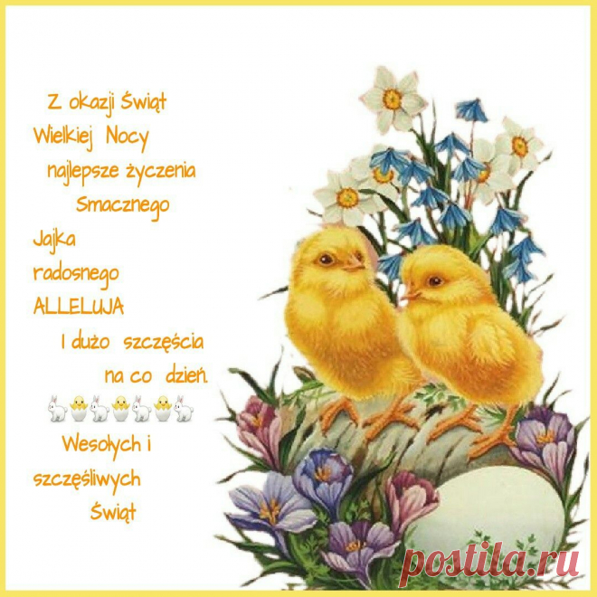 Dwa kurczaki przesyłają życzenia - Życzenia na GifyAgusi.pl