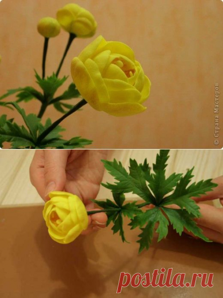 Купальница (Trollius) из холодного фарфора | Страна Мастеров