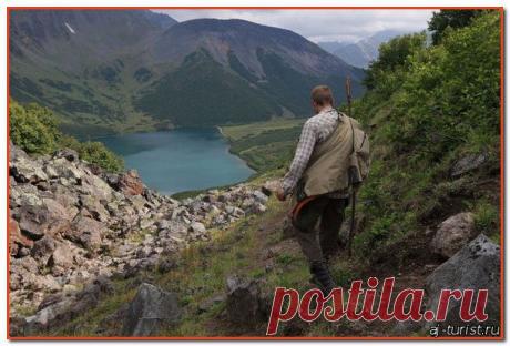 Выживание в дикой природе. Животная пища в зоне умеренного климата | Полезно знать | Я Турист