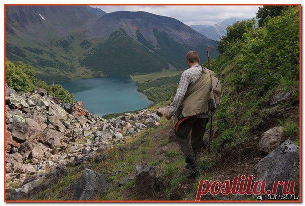 Выживание в дикой природе. Животная пища в зоне умеренного климата | Полезно знать | Я Турист