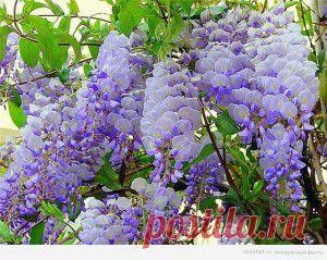 Итальянская брускетта с помидорами и огурцами