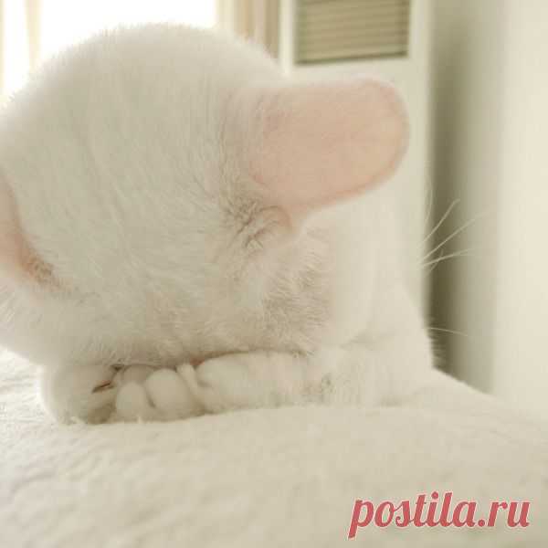 Подними себе настроение!