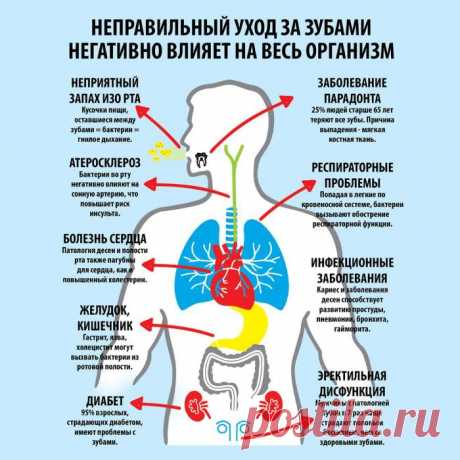 Какие части тела надо чаще мыть