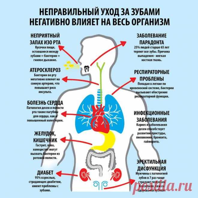 Какие части тела надо чаще мыть