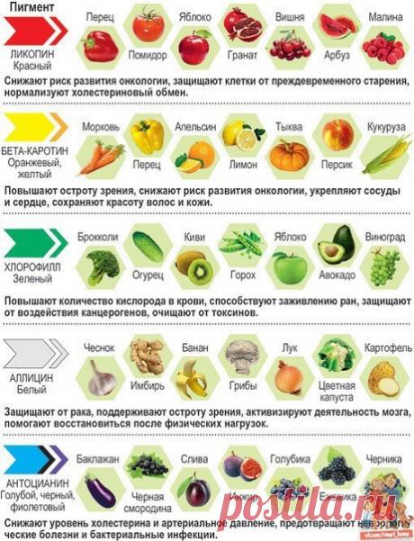 О ПОЛЬЗЕ ПРОДУКТОВ В ОДНОЙ КАРТИНКЕ