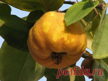 город ХУДЖАНД ленинабад ПРИСОЕДИНЯЙСЯ
30 лет, Таджикистан, Худжанд