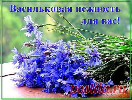 Интересные новости