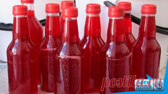 Домашнее вино из малины.
Ингредиенты:
600 г малины
500 г сахара
1 л воды.
Приготовление:
 
1. Сначала подготовь ягоды малины. Их не надо мыть, но обязательно нужно перебрать, убрав всё гнилье. После разомни ягоды до состояния пюре и переложи в чистую и сухую банку. Долей туда 700 мл воды и насыпь 300 г сахара, тщательно перемешай. Емкость должна быть заполнена не более чем на 70 %.
2. Для процесса приготовления вина тебе еще понадобятся медицинские перчатки. Проколи иголкой один из пальцев