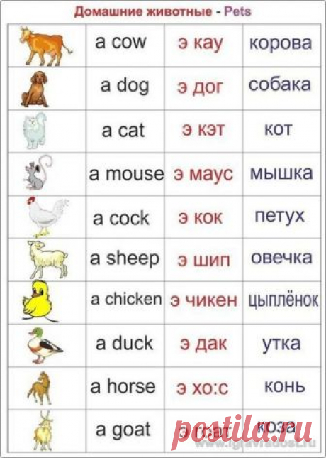 (3) Мой Мир@Mail.Ru