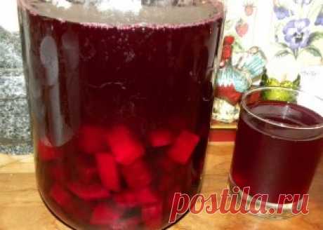 Свекольный квас – целительный бальзам для женщин | Женский блог