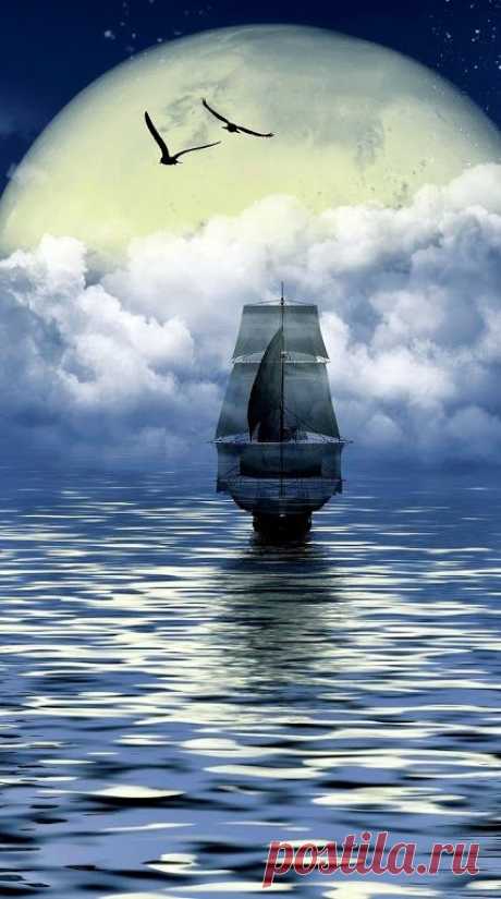 (38) Pinterest