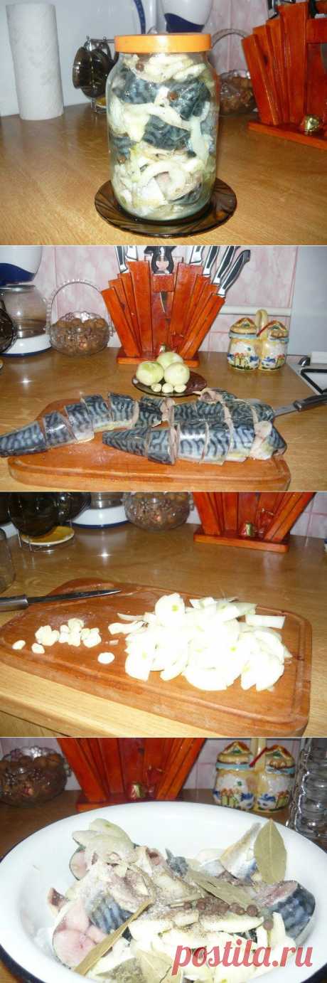 Данным способом маринования скумбрия получается просто фантастическая