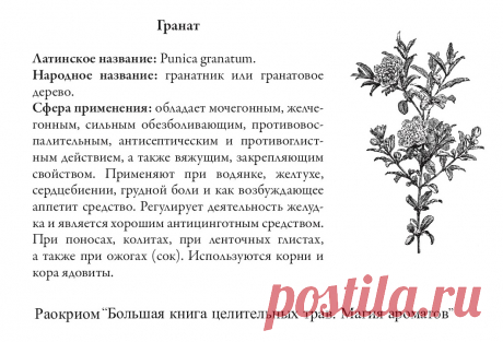 Гранат