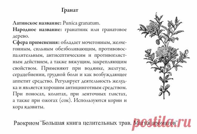 Гранат