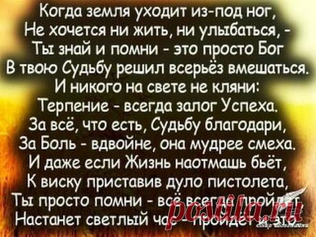 (397) Pinterest