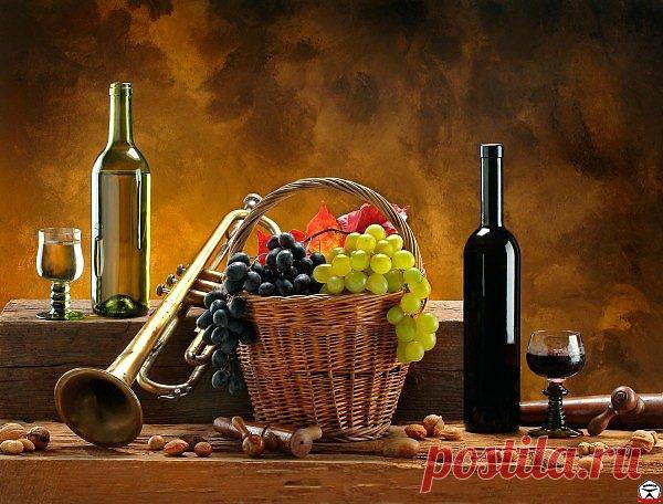 Алкоголь может продлить жизнь | Самые популярные и самые вкусные рецепты с видео