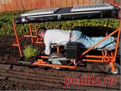 Ложе-машина для дачного участка.