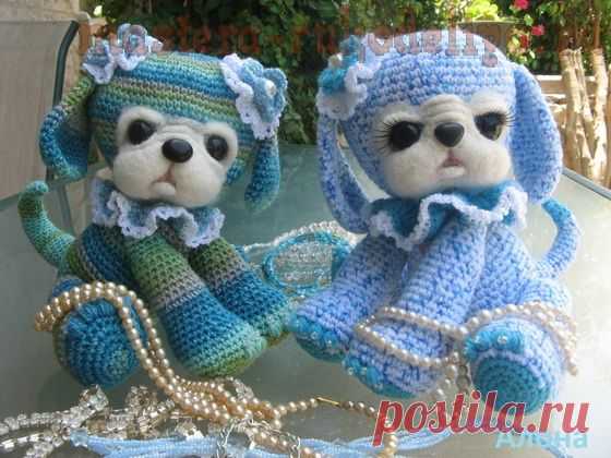 Головастый щенок цвета моря | Золотые Руки