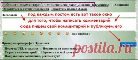 Как правильно написать комментарий на Лиру