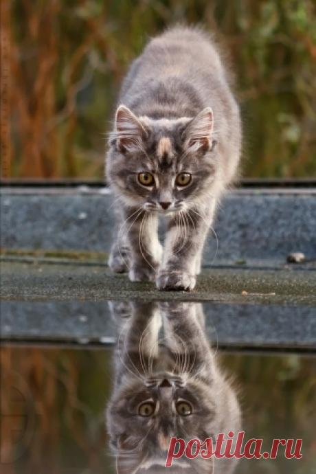reflection by ada on Indulgy.com